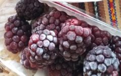 Como Congelar Frutas – Validade e Descongelamento de Frutas Frescas