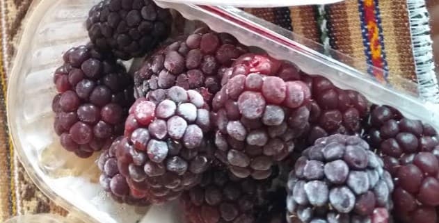 como-congelar-frutas-frescas-amora