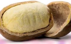 Benefícios do Cupuaçu – Foto da Polpa do Cupuaçu e Nutrientes da Fruta