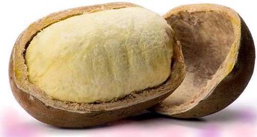 casca-e-polpa-benefícios-do-cupuaçu-vitaminas-