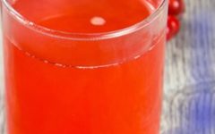 Bebida fermentada de Acerola –  Como Fazer Suco de Acerola Fermentado
