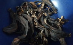 Fertilizante de Cascas de Banana rica em Potássio para as Plantas