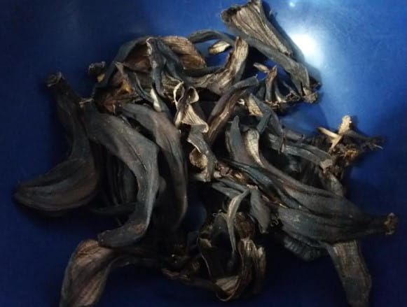 Fertilizante de Cascas de Banana rica em Potássio para as Plantas
