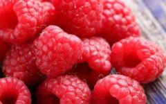 Como Germinar Sementes de Framboesa – Dicas de Cultivo