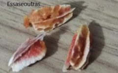 Como Germinar Sementes de Acerola – Plantar Acerola com Sementes