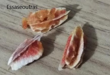 Como Germinar Sementes de Acerola – Plantar Acerola com Sementes