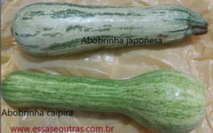 Vitaminas da Abobrinha Verde Benefícios da Abóbora Caipira e Japonesa