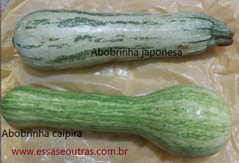 Vitaminas da Abobrinha Verde Benefícios da Abóbora Caipira e Japonesa