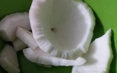 Pode Congelar Coco? Como Conservar Coco na Geladeira Mais Tempo
