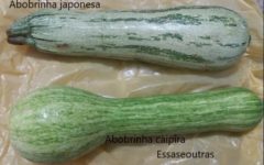 Omelete de Abobrinha recheado com Carne Moída – Como Fazer Receita