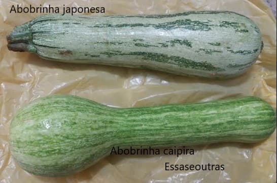 tipos-de-abobrinha-omelete-de-abobrinha