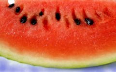 Benefícios das Sementes da Melancia – Nutrientes e Receita de Suco