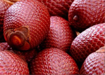 vitaminas-do-buriti-nutrientes-benefícios-