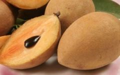 Vitaminas do Sapoti – Benefícios e Nutrientes do Fruto do Chiclete