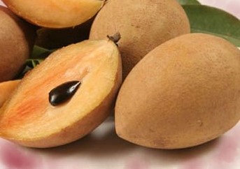 Vitaminas do Sapoti – Benefícios e Nutrientes do Fruto do Chiclete