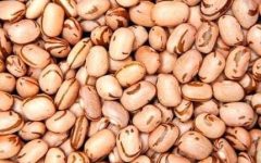 Como Congelar Feijão em Porções – Cozinha Prática e Rápida