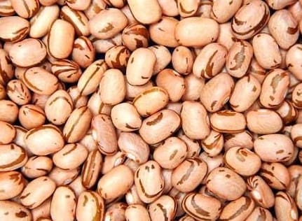 Como Congelar Feijão em Porções – Cozinha Prática e Rápida