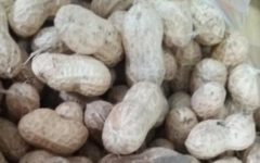 Como Torrar Amendoim com Casca – Nutrientes e Dicas de Receitas