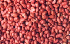 Como Torrar Amendoim Sem Casca – Benefícios e Vitaminas