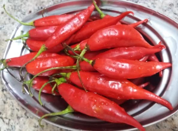 Conserva de Pimenta – Como Fazer, Validade da Pimenta in Natura