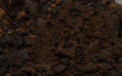 Como Fazer Composto Orgânico Borra de Café, Casca de Ovos e Banana