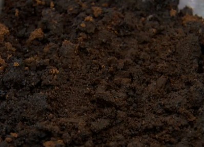 Como Fazer Composto Orgânico Borra de Café, Casca de Ovos e Banana