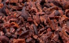 Nibs de Cacau O Que é, Como Fazer Nibs e Chocolate em Pó,  Benefícios