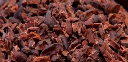como-fazer-nibs-de-cacau-caseiro-