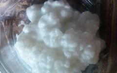 Como Cuidar do Kefir de Leite – Dica para Tirar a Gosma dos Grãos de Kefir