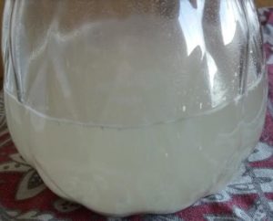 como-fazer-fermento-natural-etapas-