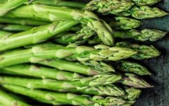 Como Preparar Aspargo Fresco – Benefícios, Vitaminas, Dicas de Cultivo