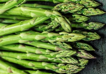 Como Preparar Aspargo Fresco – Benefícios, Vitaminas, Dicas de Cultivo