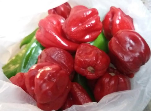 Como Secar Pimenta no Sol, Forno Inteira, Picada e Fazer Pimenta em Pó