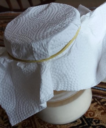como-fazer-fermento-natural-com-farinha-integral-