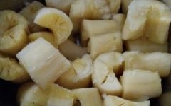 Pode Congelar Mandioca Cozida? Como Congelar Mandioca Crua