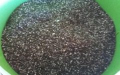 Fertilizante Sólido de Casca de Ovo, Banana e Borra de Café Como Fazer