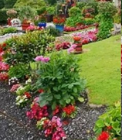 como-fazer-jardim-econômico-florido-
