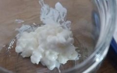 Kefir em Manta – Grãos de Kefir Grudados ou Pequenos – O Que Fazer