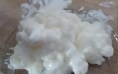 Kefir com Soro É Normal? Kefir Estragou? Que Fazer? Dúvidas sobre Kefir