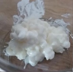 Kefir com Soro É Normal? Kefir Estragou? Que Fazer? Dúvidas sobre Kefir