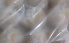 Como Descongelar Coxinha e Salgadinho de Festa sem Encharcar