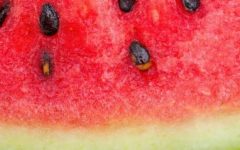 Casca da Melancia Rica em Vitaminas Benefícios à Saúde Receitas Casca
