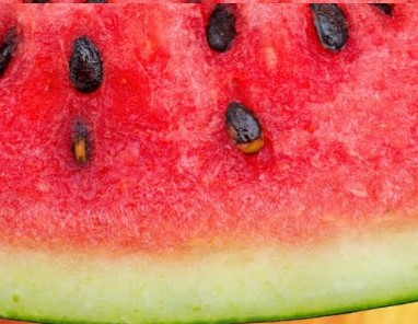 Casca da Melancia Rica em Vitaminas Benefícios à Saúde Receitas Casca