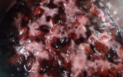 Geleia de Frutas Vermelhas Caseira – Como Fazer e Ingredientes