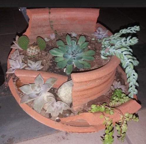 aproveitar-vaso-de-barro-quebrado-plantar-suculentas-