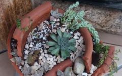 Aproveitar Vaso de Barro Quebrado – Como Fazer Jardim de Suculentas