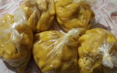Pode Congelar Jaca? Como Congelar Jaca Madura e Validade no Freezer