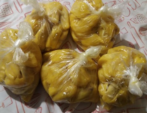 Pode Congelar Jaca? Como Congelar Jaca Madura e Validade no Freezer