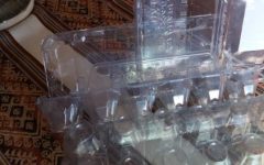 Sementeira de Caixa de Ovos e de Frutas Transparente – Cultivar Mudas e Brotos