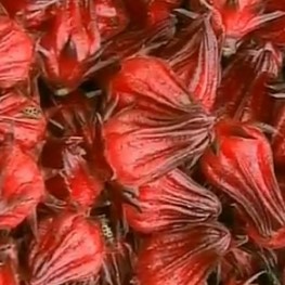 chá-de-hibisco-com-maçã-canela-e-gengibre-